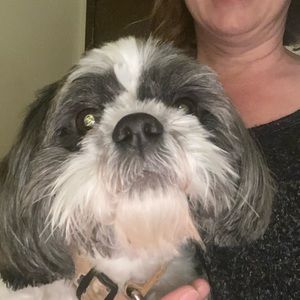 Meet your Posher, Kimberly